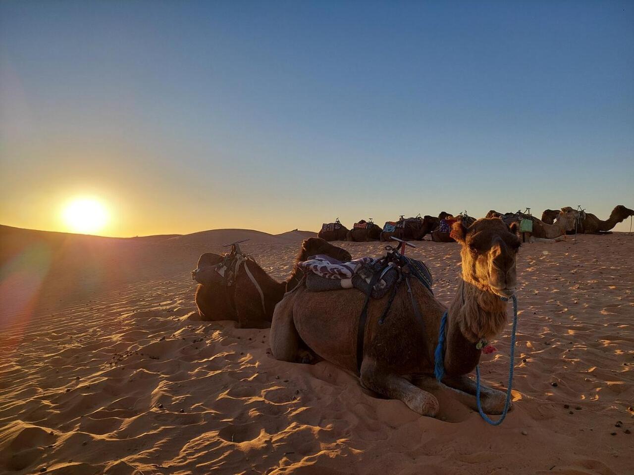 Отель Desert Experience Glamping Мерзуга Экстерьер фото